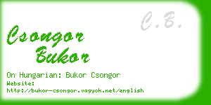 csongor bukor business card